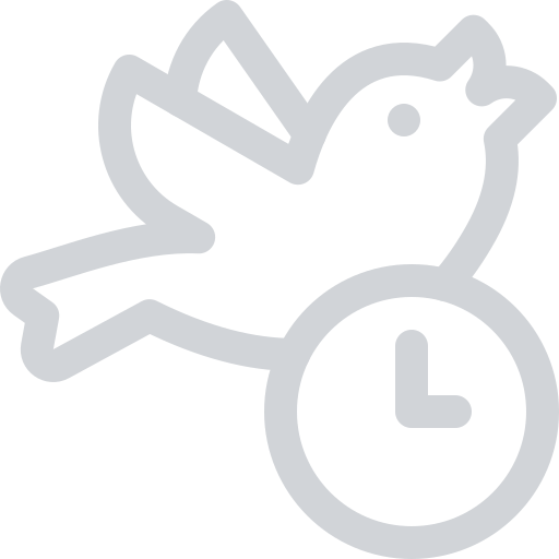 Bird and clock icon